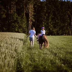 Stixenhof - Heidi Nehmeier Haundorf